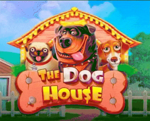 play The Dog House in thecasinova